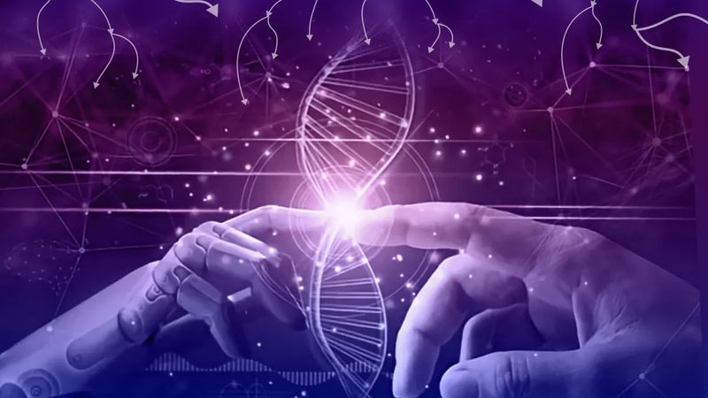图像识别报价，别只盯着数字看
